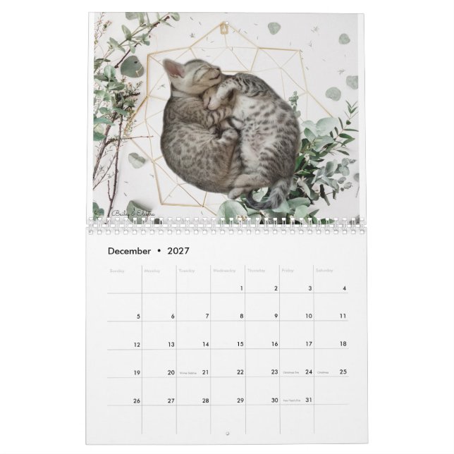 Calendrier Cat 2023 (Dec 2027)