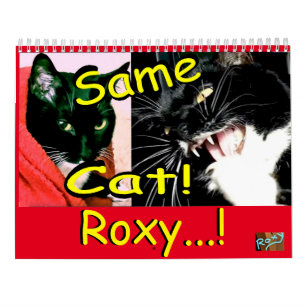 Calendrier Cat Roxy