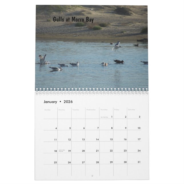 Calendrier central 2013 de côte de la Californie (Jan 2026)