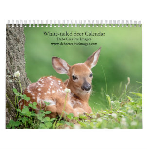Calendrier Cerf de Virginie 2025
