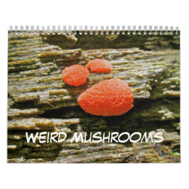 Calendrier Champignons bizarres