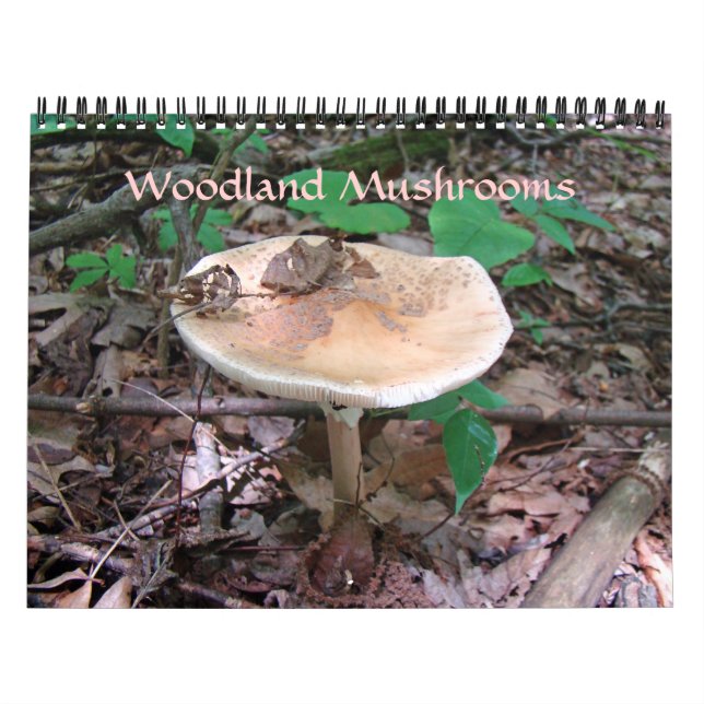 Calendrier - Champignons des bois (Protection)