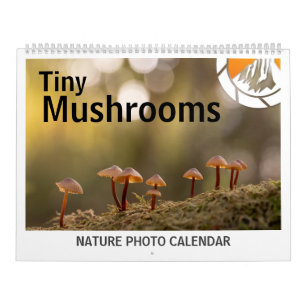 Calendrier Champignons Nature Photos 2026