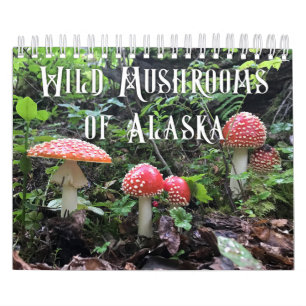 Calendrier Champignons sauvages de l'Alaska - Petit Calendrie