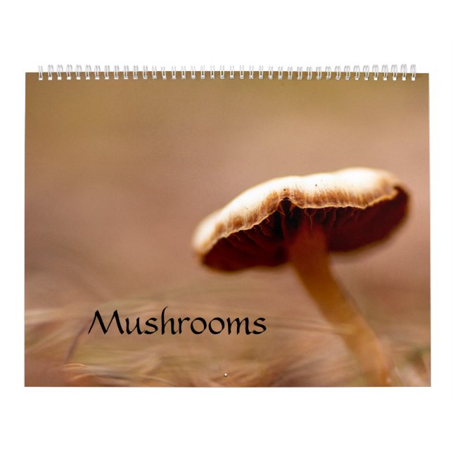 Calendrier : Champignons, Schrooms, champignons (Protection)