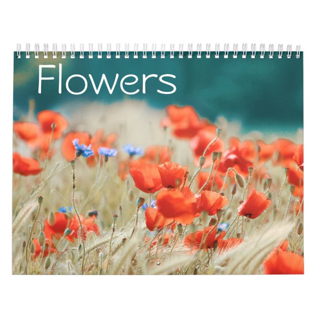 Calendrier Champs de fleurs (Protection)