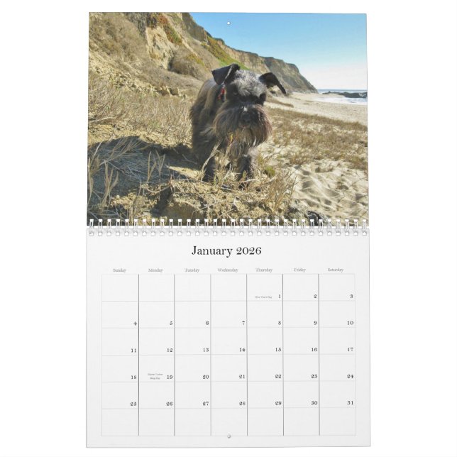Calendrier chanceux 2013 de Schnauzer miniature de (Jan 2026)