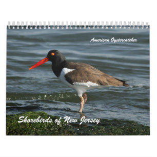 Calendrier Charadriidés de New Jersey