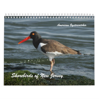 Calendrier Charadriidés de New Jersey