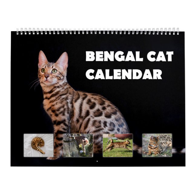 Calendrier Chat du Bengale (Protection)