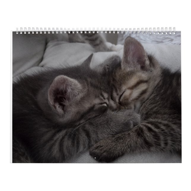 Calendrier Chatons (Protection)