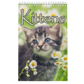 Calendrier Chatons adorables & Chatons Coeur Chants Grande Mu