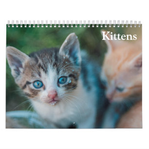 Calendrier Chatons Mignons 2027