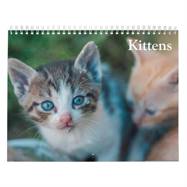 Calendrier Chatons Mignons 2027 (Protection)
