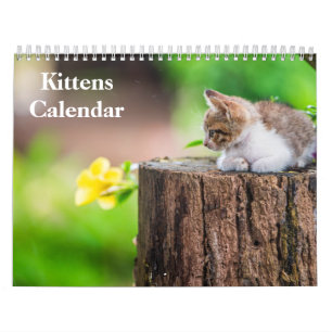 Calendrier Chatons Mignons 2027 Tigre du Bengale