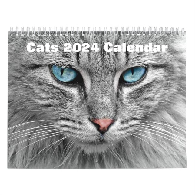 Calendrier Chats 2024 (Protection)
