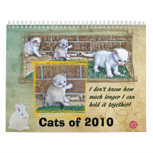Calendrier Chats de 2010