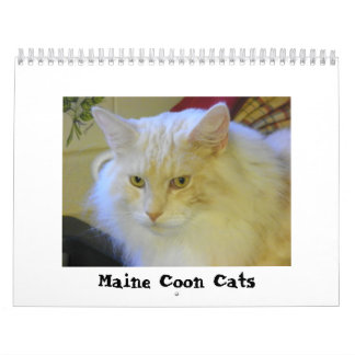 Calendrier Chats de ragondin du Maine