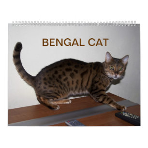 Calendrier Chats du Bengale 2025
