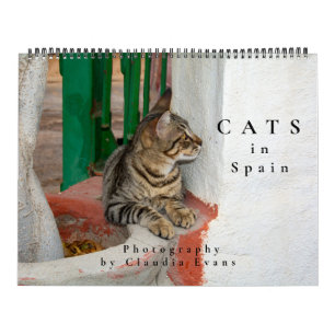 Calendrier Chats en Espagne