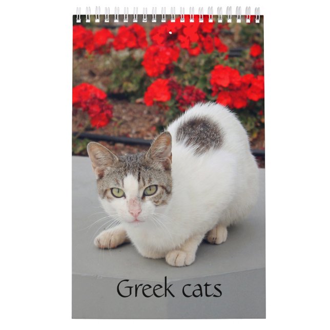Calendrier Chats grecs - photos des petits compagnons (Protection)