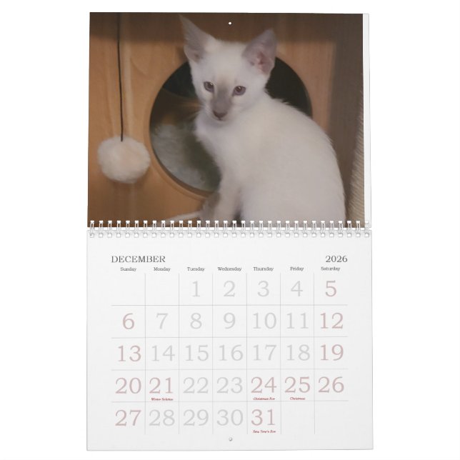 Calendrier Chats siamois (Dec 2026)
