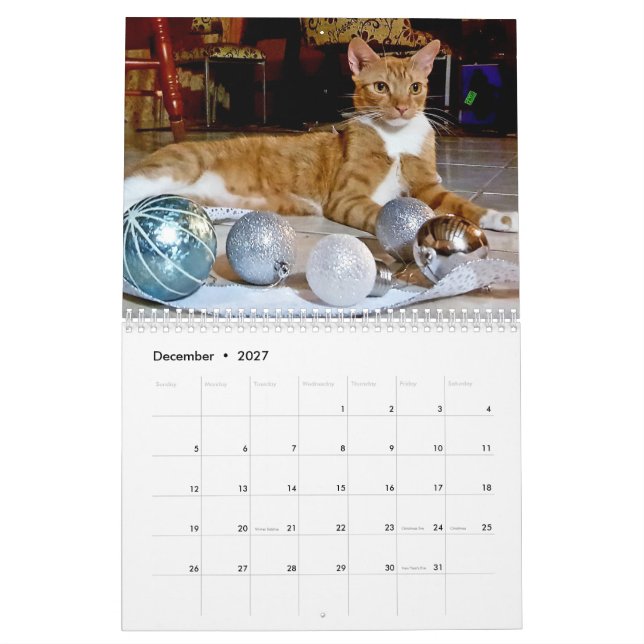 Calendrier Cheeto Dacutecat 2020 (Dec 2027)