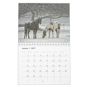 Calendrier Cheval 2017
