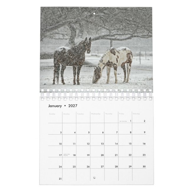 Calendrier Cheval 2017 (Jan 2027)
