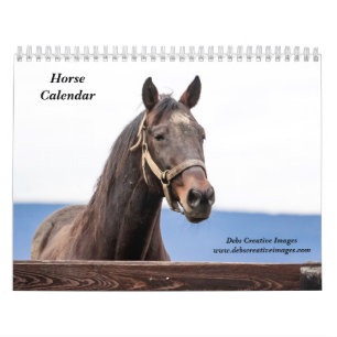 Calendrier Cheval 2025