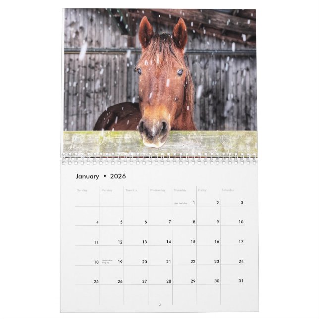 Calendrier Cheval et âne 2025 (Jan 2026)