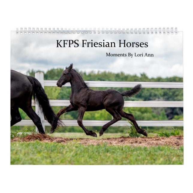 Calendrier Cheval friésien KFPS (Protection)