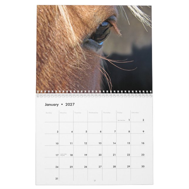 Calendrier Chevaux (Jan 2027)