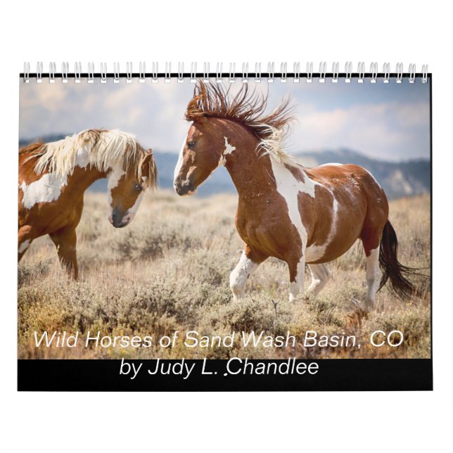 Calendrier Chevaux sauvages (Protection)