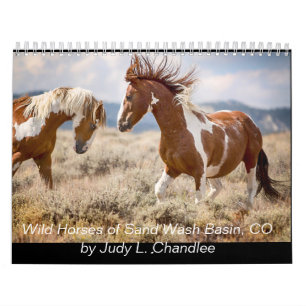 Calendrier Chevaux sauvages