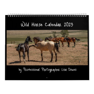 Calendrier Chevaux sauvages 2023
