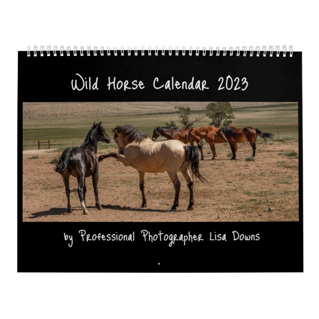 Calendrier Chevaux sauvages 2023 (Protection)
