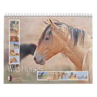 Calendrier Chevaux sauvages (calendrier)