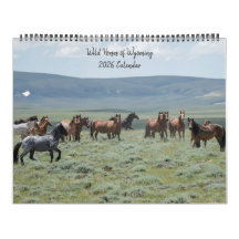 Chevaux sauvages du Wyoming