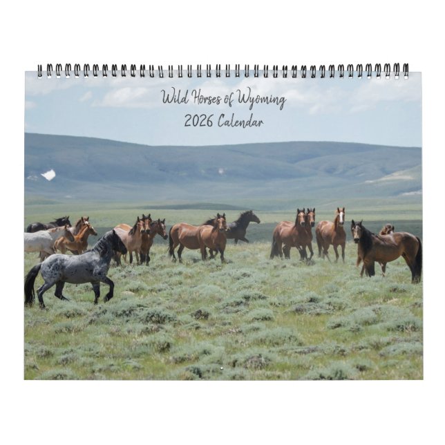 Calendrier Chevaux sauvages du Wyoming (Protection)