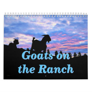Calendrier Chèvres sur le ranch