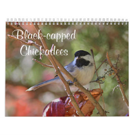 Calendrier Chickadee