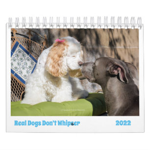 Calendrier Chien 2022 Éclairez Vos Journées Avec