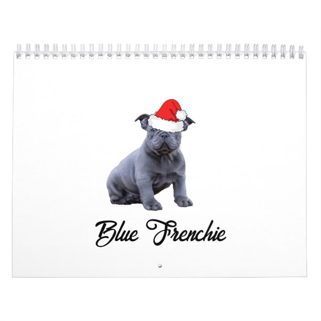 Calendrier Chien de taureau bleu (Protection)