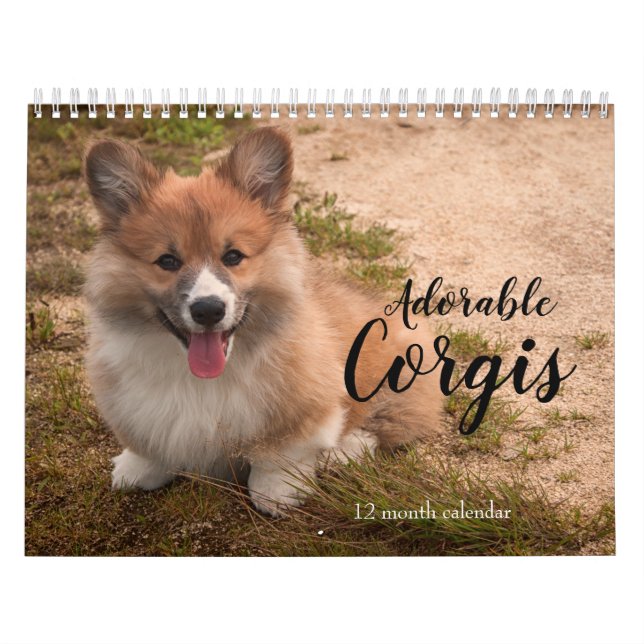 Calendrier Chiens de Corgi adorables 2026 (Protection)