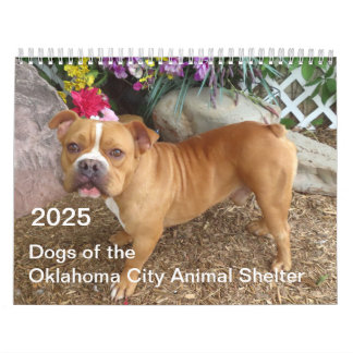 Calendrier Chiens de l'abri animal de Oklahoma City 2025