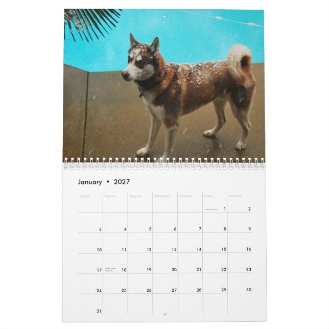 Calendrier Chiens de traîneau 2010 (Jan 2027)