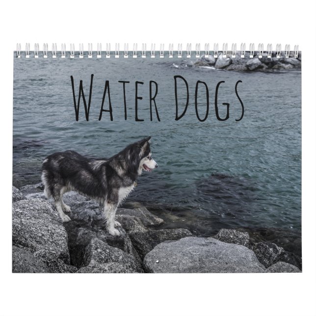 Calendrier Chiens d'eau (Protection)