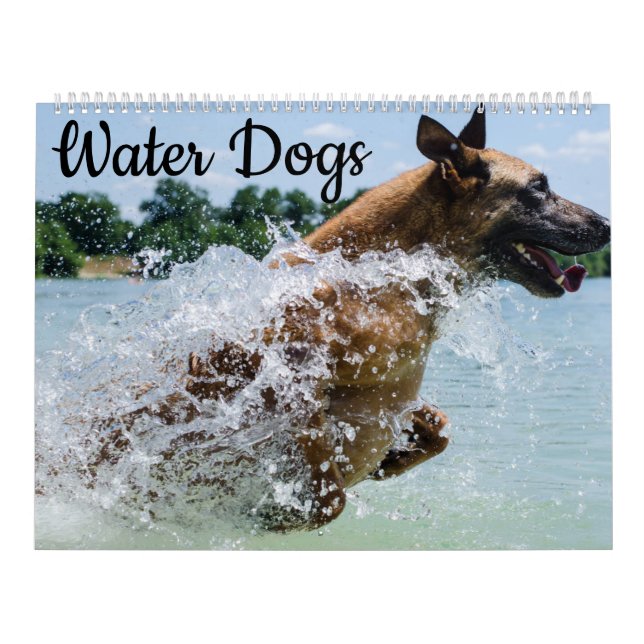 Calendrier Chiens d'eau (Protection)