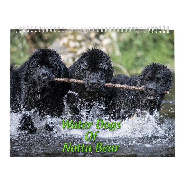 Calendrier Chiens D'Eau De Notta Ours (Protection)